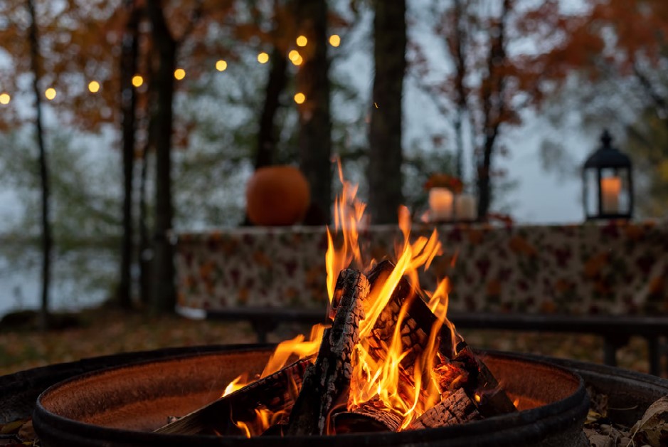 outdoor backyard firepit