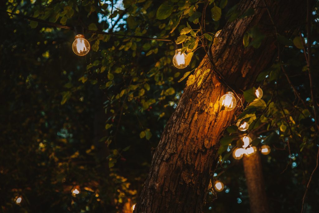 outdoor string lights in trees