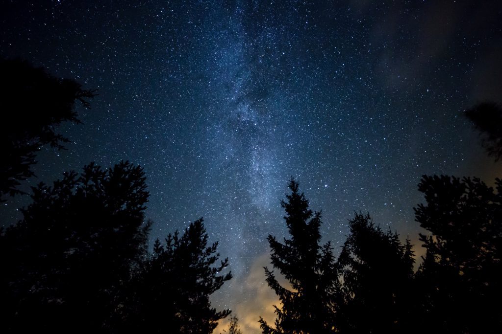 milky way with trees