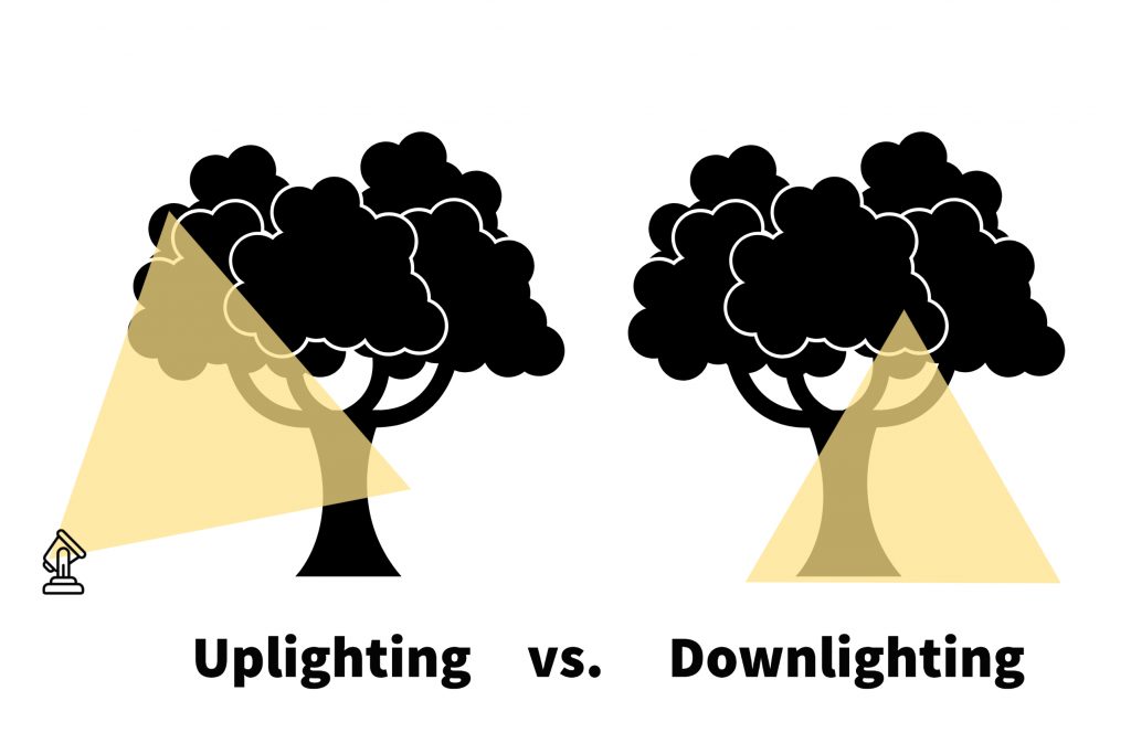uplighting vs downlighting explained, tree landscape lighting