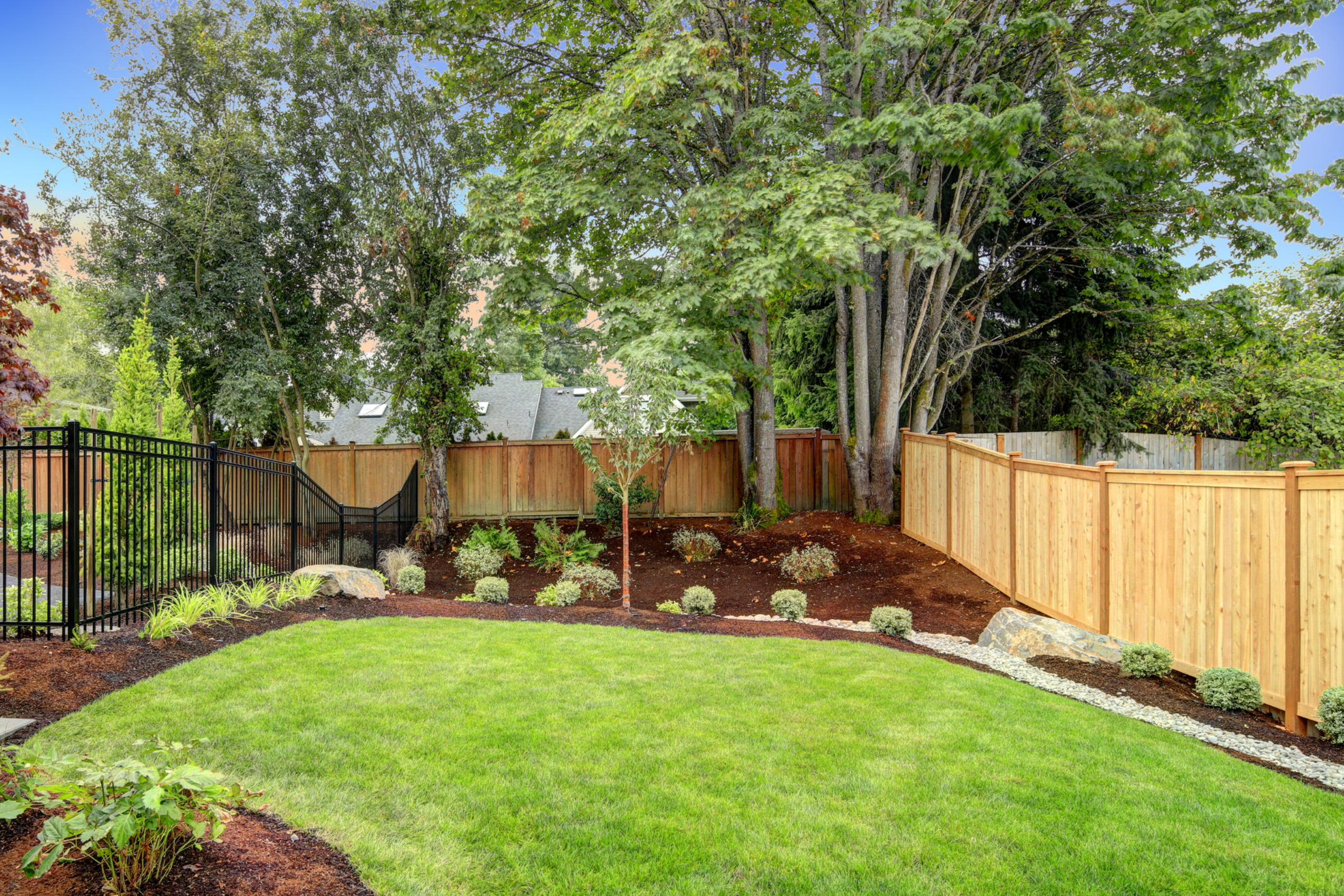 backyard with plant landscaping surrounded by a fence