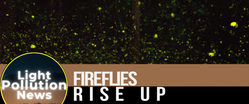 Light Pollution News August 2023 - Fireflies rise Up!