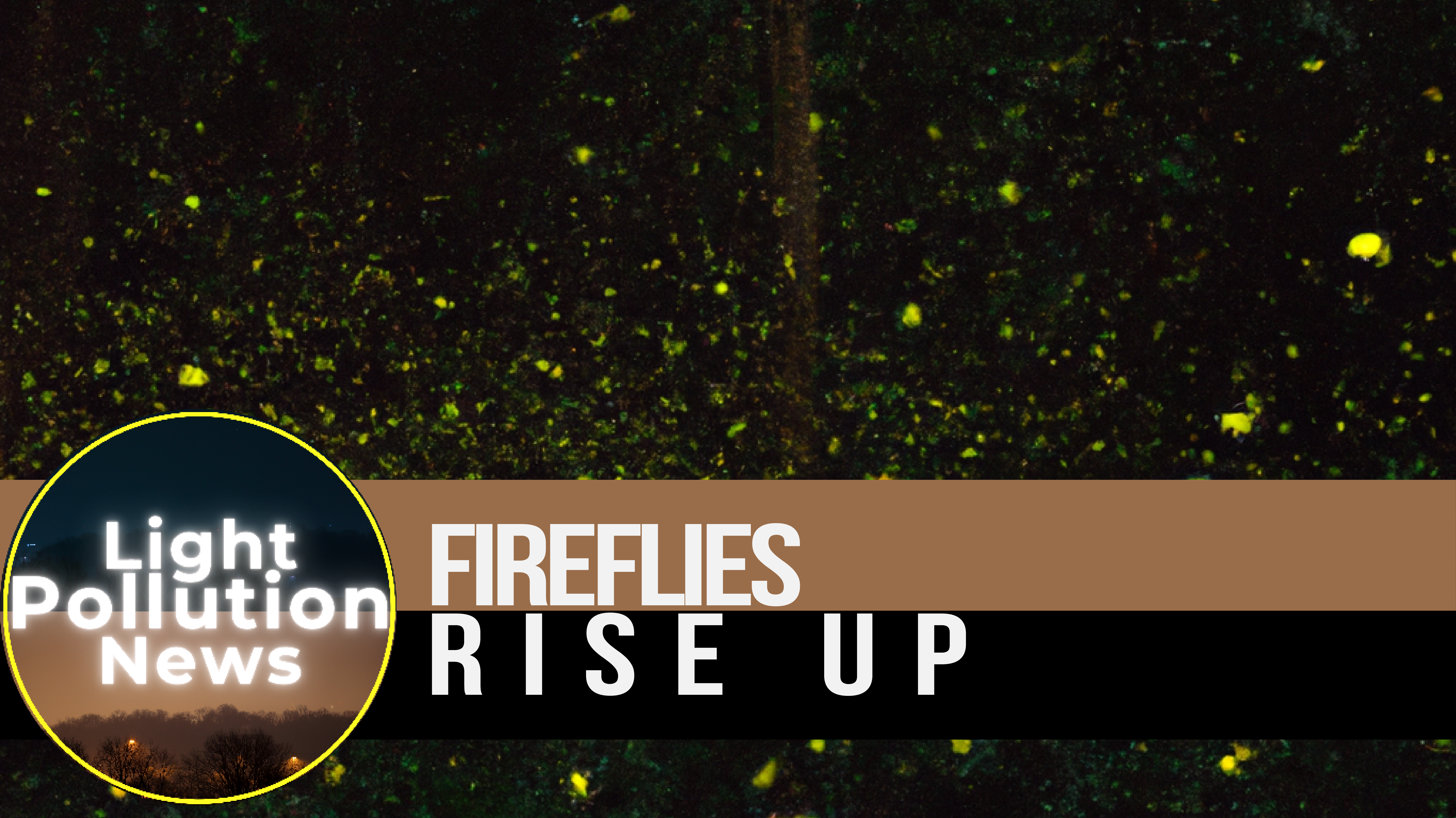 Light Pollution News August 2023 - Fireflies rise Up!