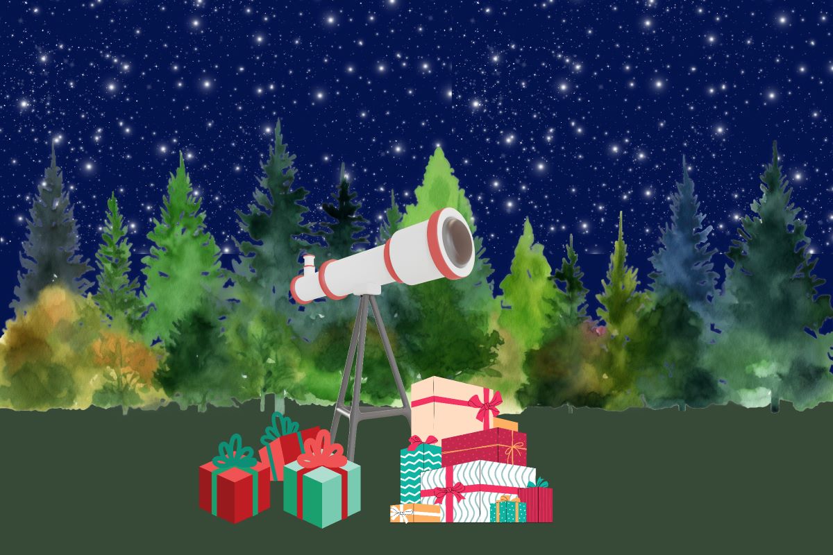 telescope with presents in field with trees and starry sky